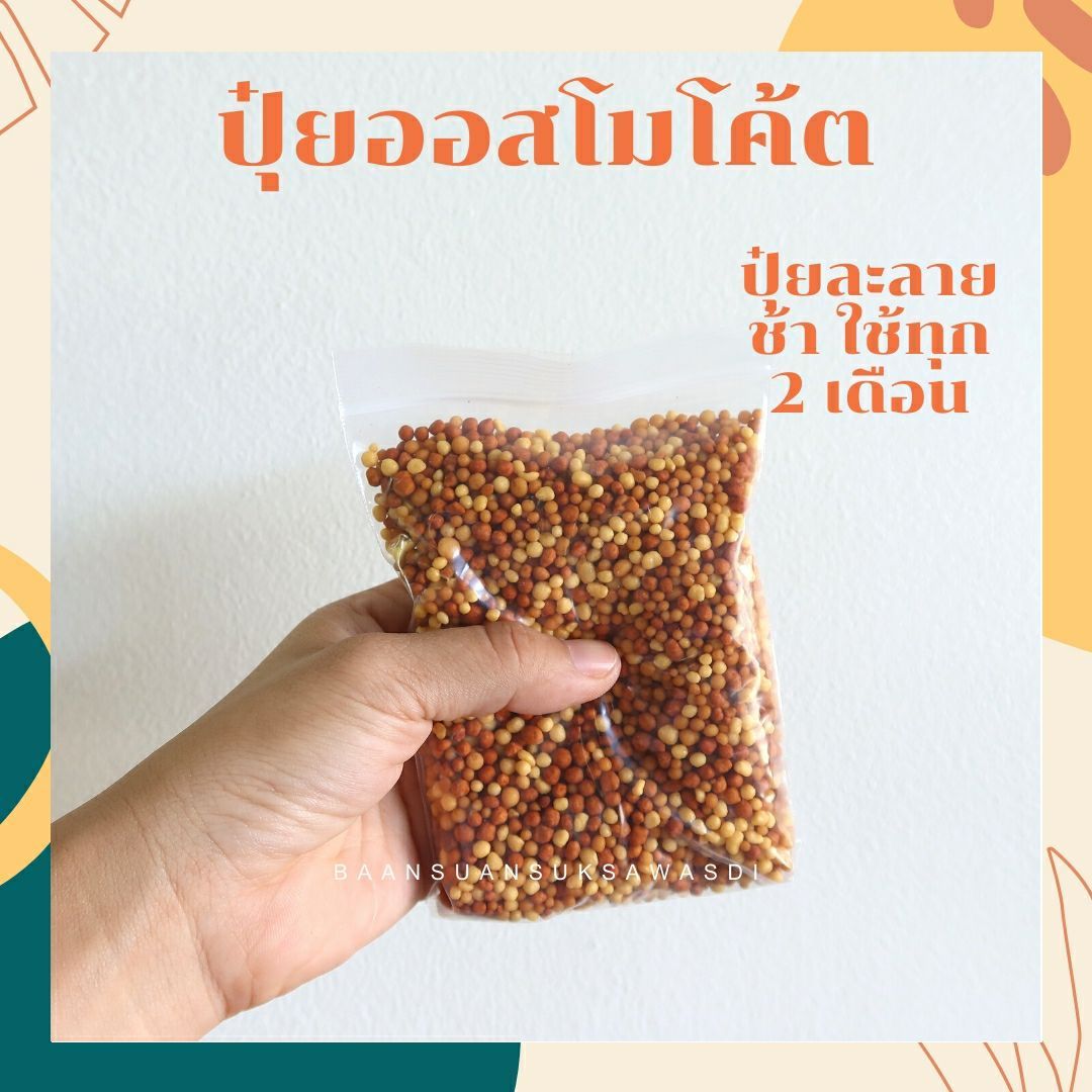 สารพัดของบำรุงต้นไม้ สารพัดปุ๋ย ปุ๋ยออสโมโค้ต ปุ๋ยเครา
