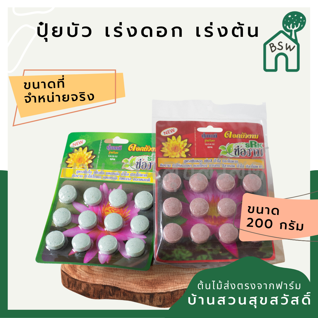 สารพัดของบำรุงต้นไม้ สารพัดปุ๋ย ปุ๋ยออสโมโค้ต ปุ๋ยเครา