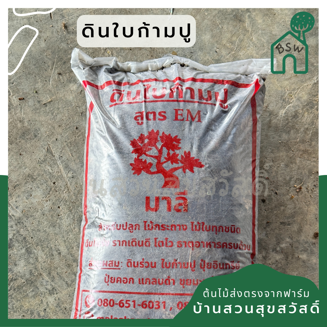 ดินใบก้ามปู ถุงละประมาน 5-6 กก.