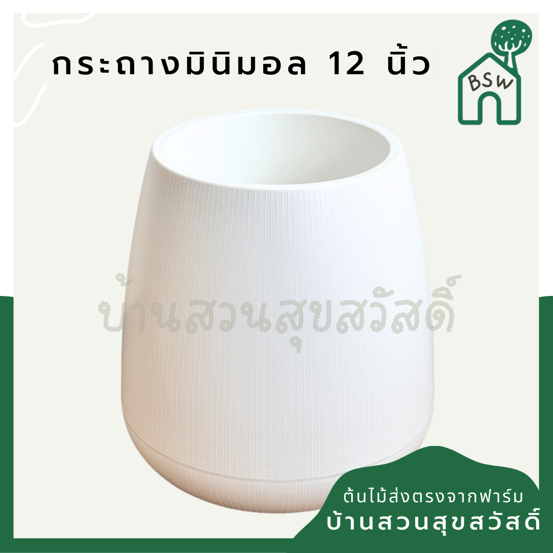 กระถางเบลล่า ทรงซูโม่ ขนาด 12 นิ้ว สูง 50 ซม กระถางทรง มินิมอล