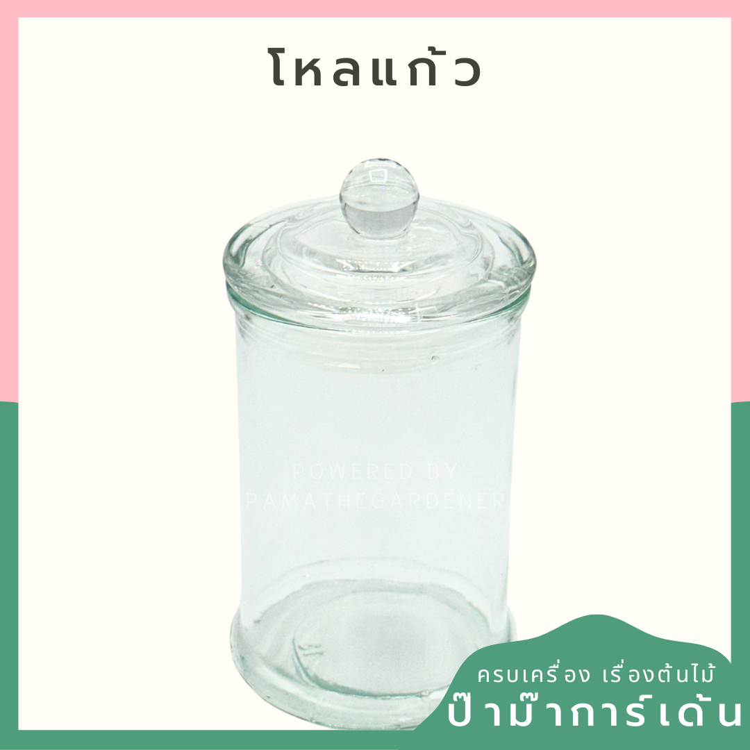 JG Glass โหลแก้ว เนื้อใส พร้อมฝาสูญญากาศ มีจุกจับ