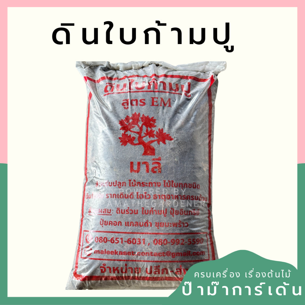 ดินผสมใบก้ามปู ดินหมัก ดินมูลไส้เดือน แบ่งขาย 1 กก.