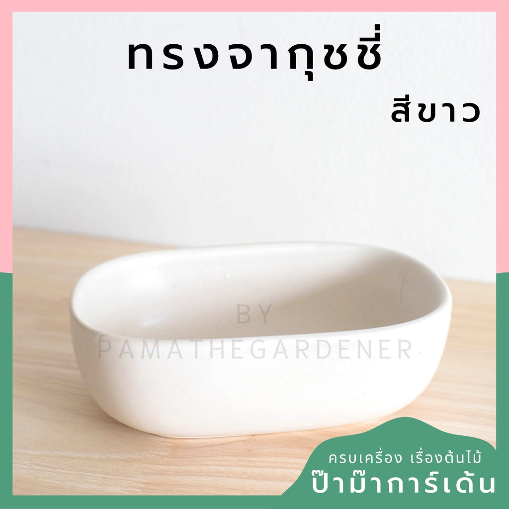 กระถางเซรามิก ทรงจากุ๊ซซี่ สีขาว ดำ สีพาสเทล สีลูกกวาด เหมาะสำหรับบัวบกโขด บอนไซ จัดสวนถาด [LP color 02]