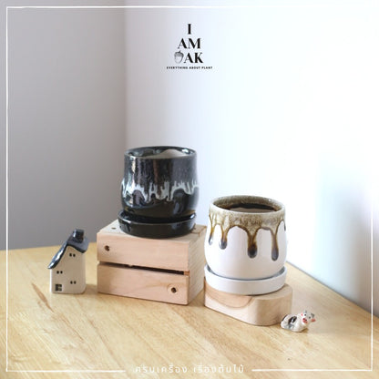 กระถางเซรามิกทรงไข่ตุ๋น เหมาะใส่กับต้นไม้จากกระถาง 3 นิ้ว