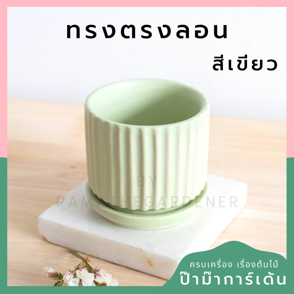 กระถางเซรามิก ทรงตรงลอน สีพาสเทลสดใส กระถางต้นไม้ กระถางบอนไซ (LP color 03)