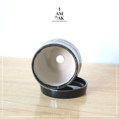 กระถางเซรามิกทรงไข่ตุ๋น เหมาะใส่กับต้นไม้จากกระถาง 3 นิ้ว