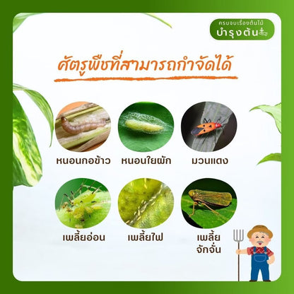 ไทยเปอร์ทอย35 – ช้างแดง – ไซเปอร์เมทริน – สารกำจัดแมลงศัตรูพืช - Pamathegardener