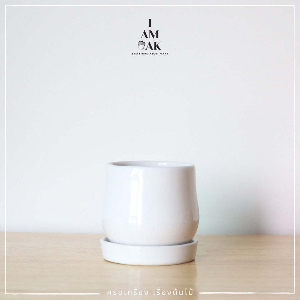 กระถางเซรามิกทรงไข่ตุ๋น เหมาะใส่กับต้นไม้จากกระถาง 3 นิ้ว