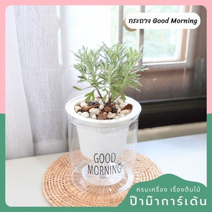 ต้นไม้ฟอกอากาศ ต้นไม้มงคล พร้อมกระถางรดน้ำอัตโนมัต 4"นิ้ว แถมหินฟรี - Pamathegardener