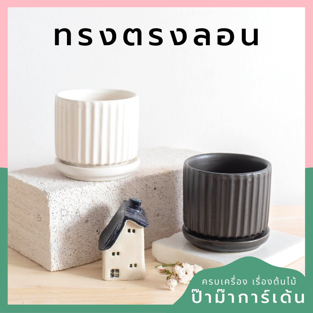 กระถางเซรามิก ทรงตรงลอน สีพาสเทลสดใส กระถางต้นไม้ กระถางบอนไซ (LP color 03)