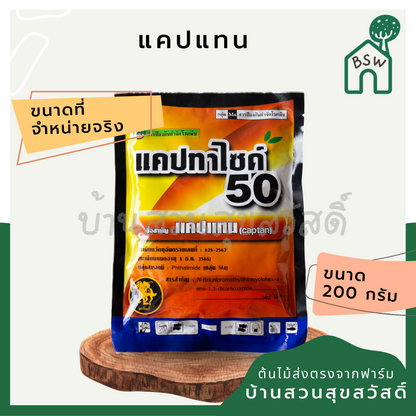 สารพัดของบำรุงต้นไม้ สารพัดปุ๋ย ปุ๋ยออสโมโค้ต ปุ๋ยเครา