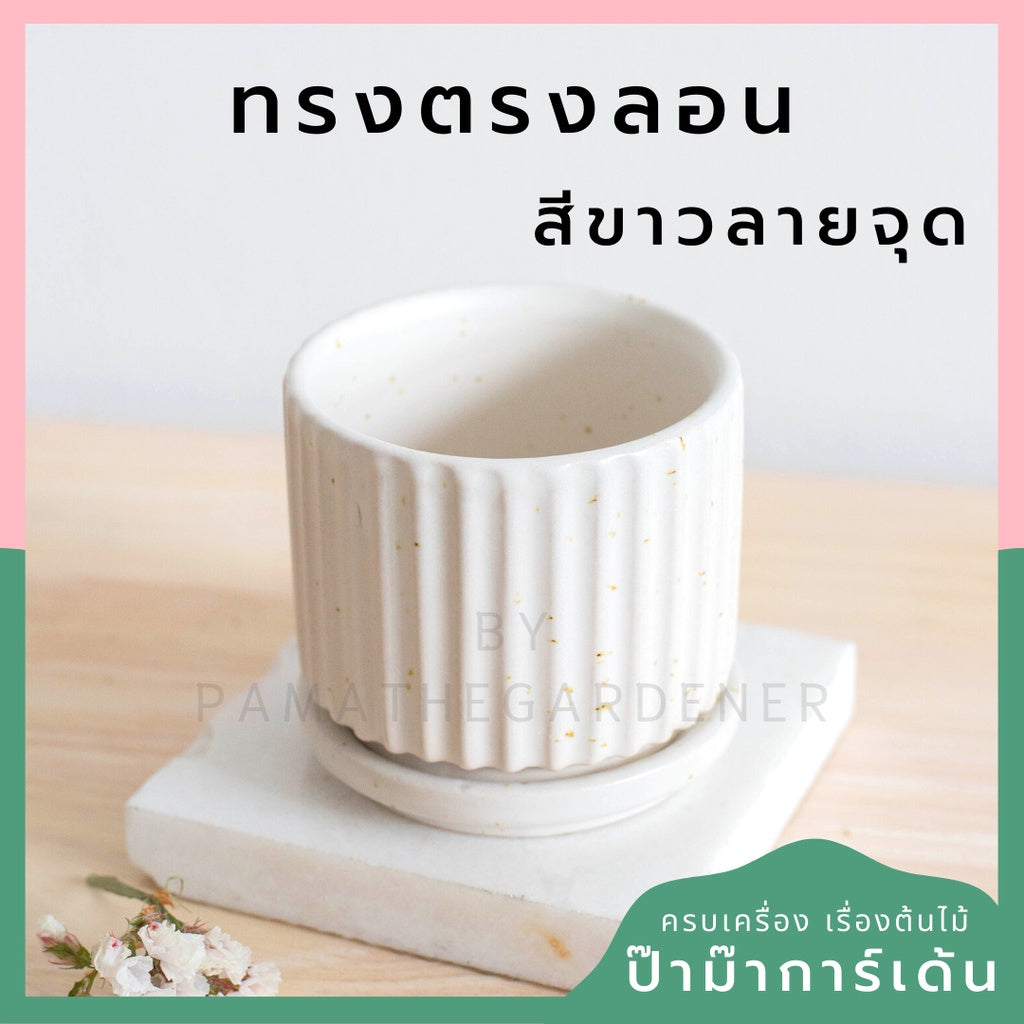 กระถางเซรามิก ทรงตรงลอน สีพาสเทลสดใส กระถางต้นไม้ กระถางบอนไซ (LP color 03)