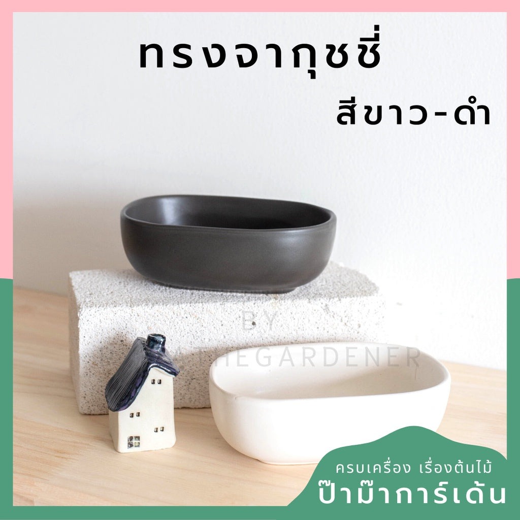 กระถางเซรามิก ทรงจากุ๊ซซี่ สีขาว ดำ สีพาสเทล สีลูกกวาด เหมาะสำหรับบัวบกโขด บอนไซ จัดสวนถาด [LP color 02]