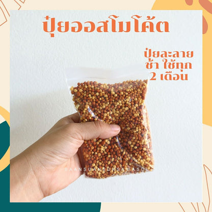 สารพัดของบำรุงต้นไม้ สารพัดปุ๋ย ปุ๋ยออสโมโค้ต ปุ๋ยเครา