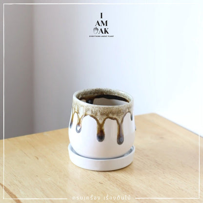 กระถางเซรามิกทรงไข่ตุ๋น เหมาะใส่กับต้นไม้จากกระถาง 3 นิ้ว