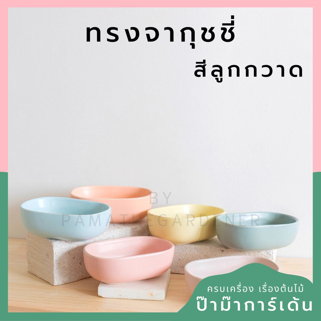 กระถางเซรามิก ทรงจากุ๊ซซี่ สีขาว ดำ สีพาสเทล สีลูกกวาด เหมาะสำหรับบัวบกโขด บอนไซ จัดสวนถาด [LP color 02]