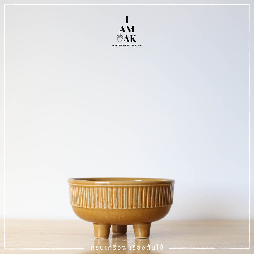 กระถางเซรามิก 3 ขา ปากกว้าง 4-5 นิ้ว เคลือบอย่างดี ไม่มีจานรองนะคะ [LP คัพเค้กใหญ่]