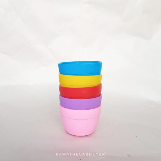 กระถางพลาสติก 2 นิ้วสีสันสดใส สำหรับใส่แคคตัส ทิลแลนเซีย