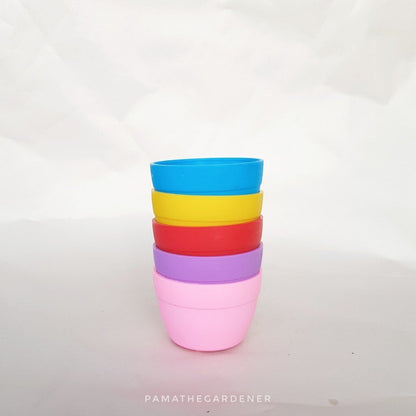 กระถางพลาสติก 2 นิ้วสีสันสดใส สำหรับใส่แคคตัส ทิลแลนเซีย