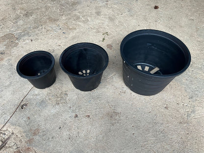 กระถางต้นไม้ กระถางพลาสติกดำ มีหลายขนาด