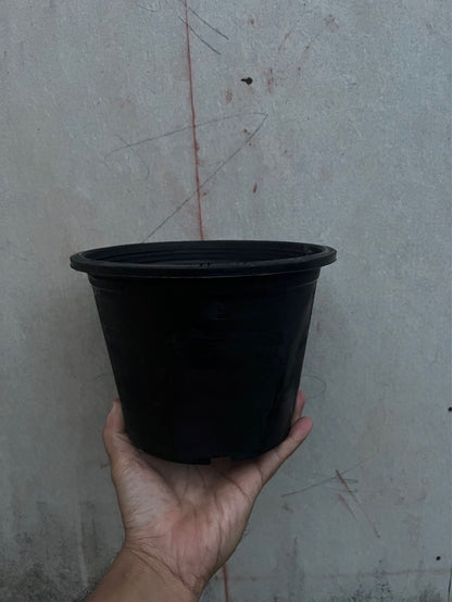 กระถางต้นไม้ กระถางพลาสติกดำ มีหลายขนาด