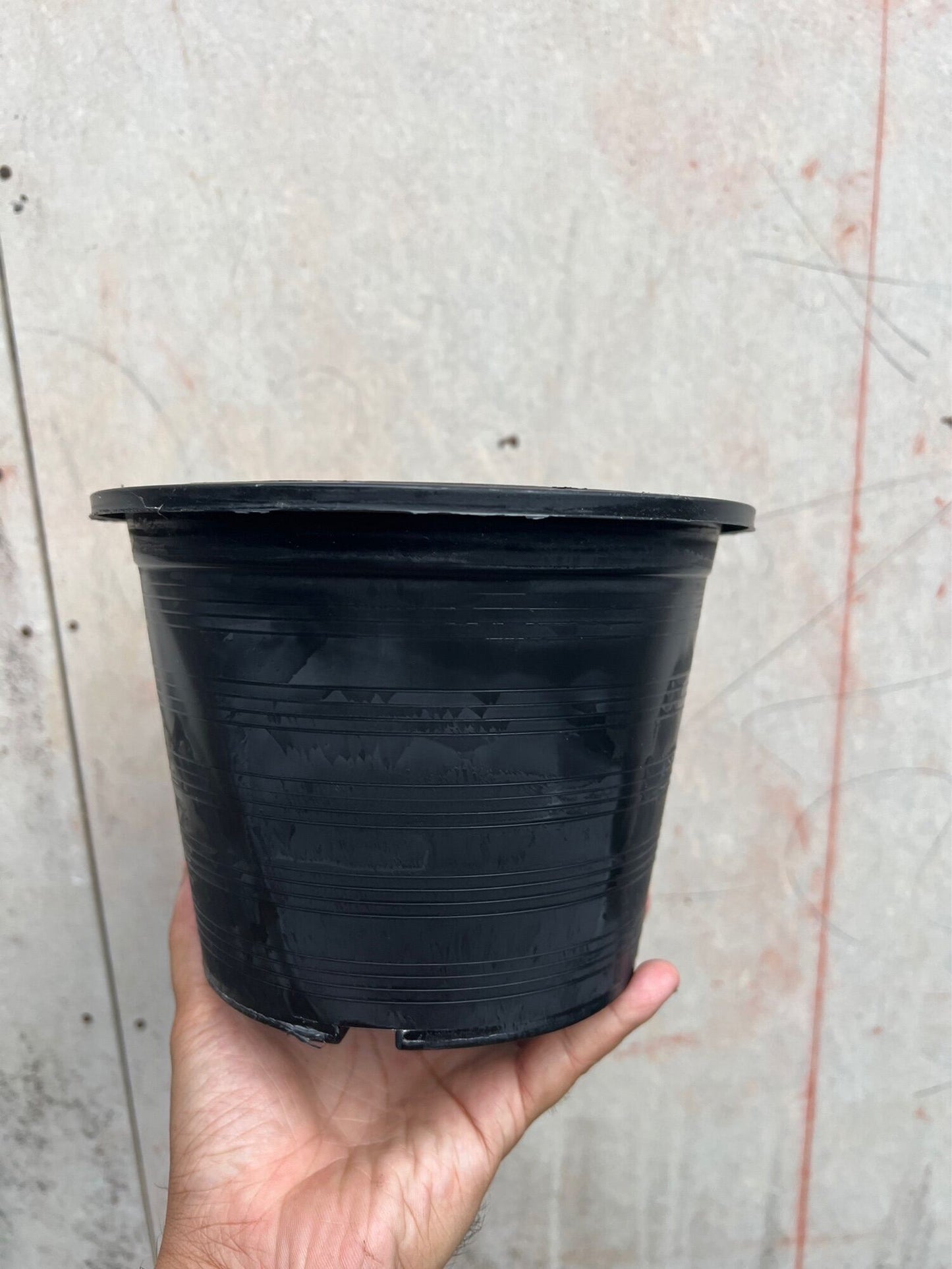 กระถางต้นไม้ กระถางพลาสติกดำ มีหลายขนาด