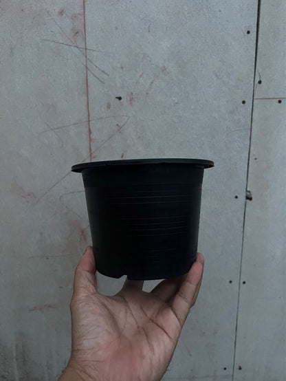 กระถางต้นไม้ กระถางพลาสติกดำ มีหลายขนาด