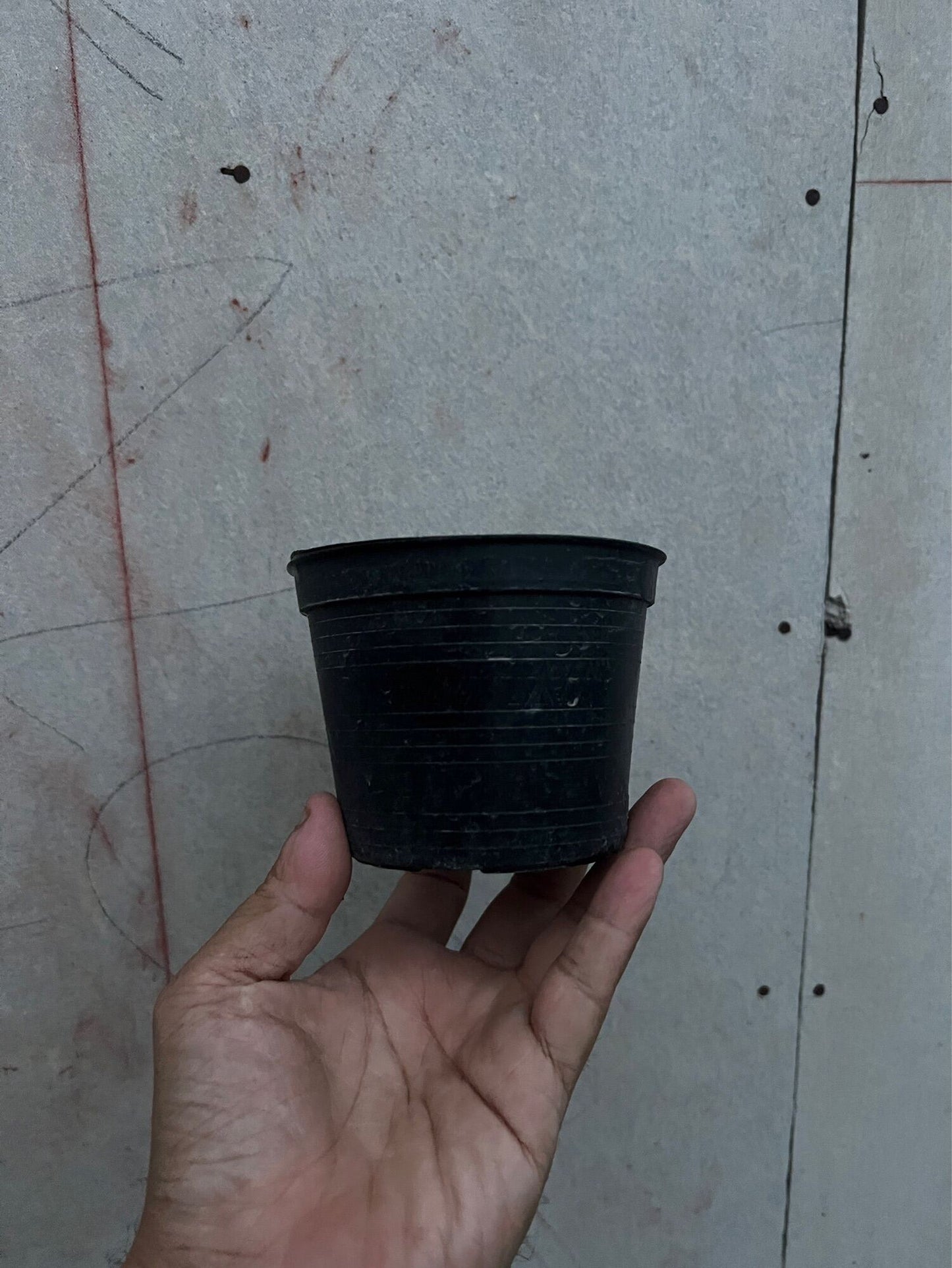 กระถางต้นไม้ กระถางพลาสติกดำ มีหลายขนาด