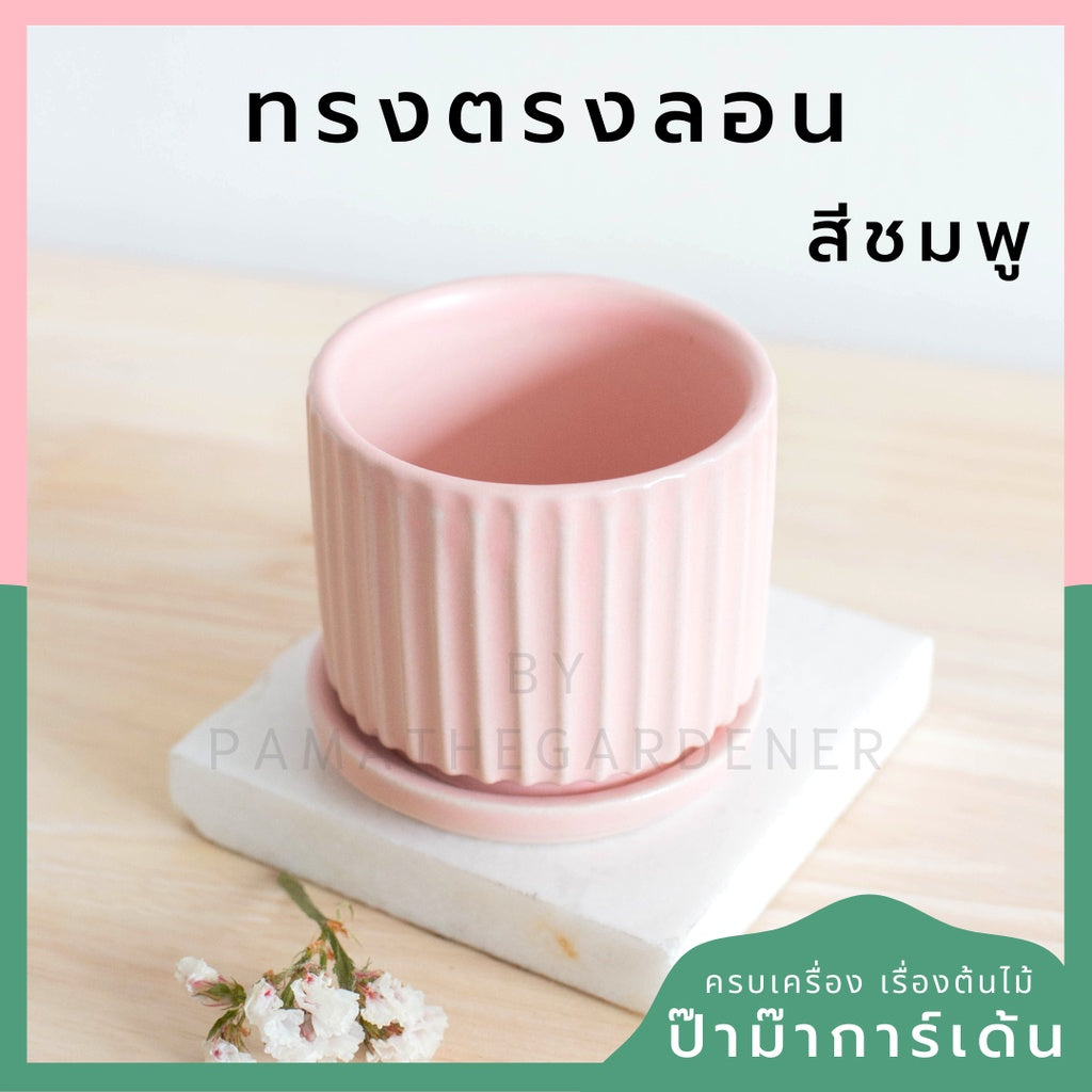 กระถางเซรามิก ทรงตรงลอน สีพาสเทลสดใส กระถางต้นไม้ กระถางบอนไซ (LP color 03)