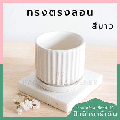 กระถางเซรามิก ทรงตรงลอน สีพาสเทลสดใส กระถางต้นไม้ กระถางบอนไซ (LP color 03)