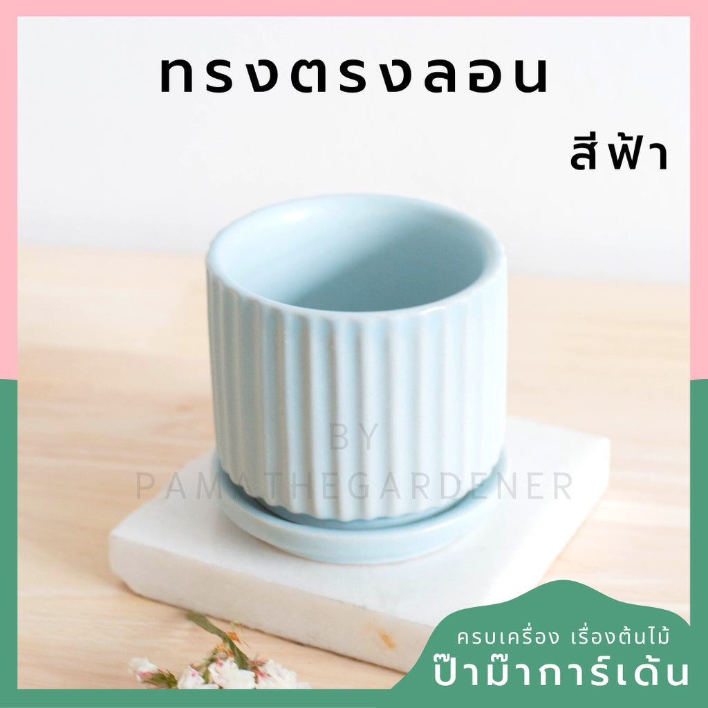 กระถางเซรามิก ทรงตรงลอน สีพาสเทลสดใส กระถางต้นไม้ กระถางบอนไซ (LP color 03)
