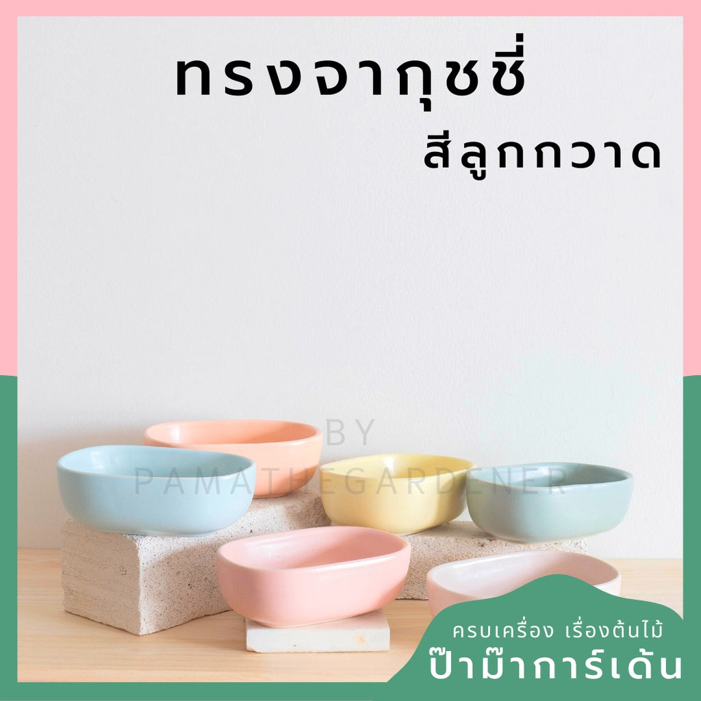 กระถางเซรามิก ทรงจากุ๊ซซี่ สีขาว ดำ สีพาสเทล สีลูกกวาด เหมาะสำหรับบัวบกโขด บอนไซ จัดสวนถาด [LP color 02]
