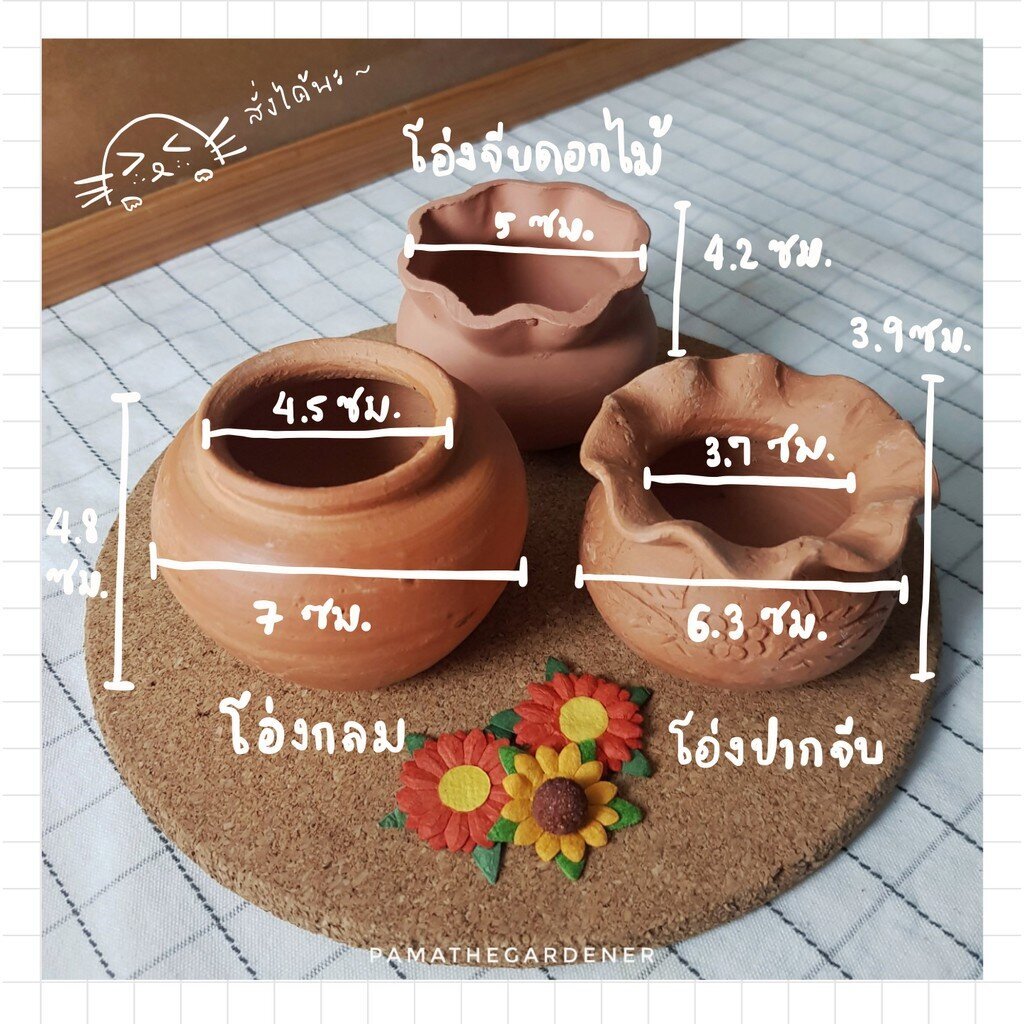 ต้นข้าหลวงในกระถางดินเผาและเคราฤาษี