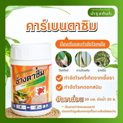 คาร์เบนดาซิม – ตราช้างดาซิม – Carbendazim – สารป้องกันและกำจัดโรคพืช (เชื้อรา) - Pamathegardener
