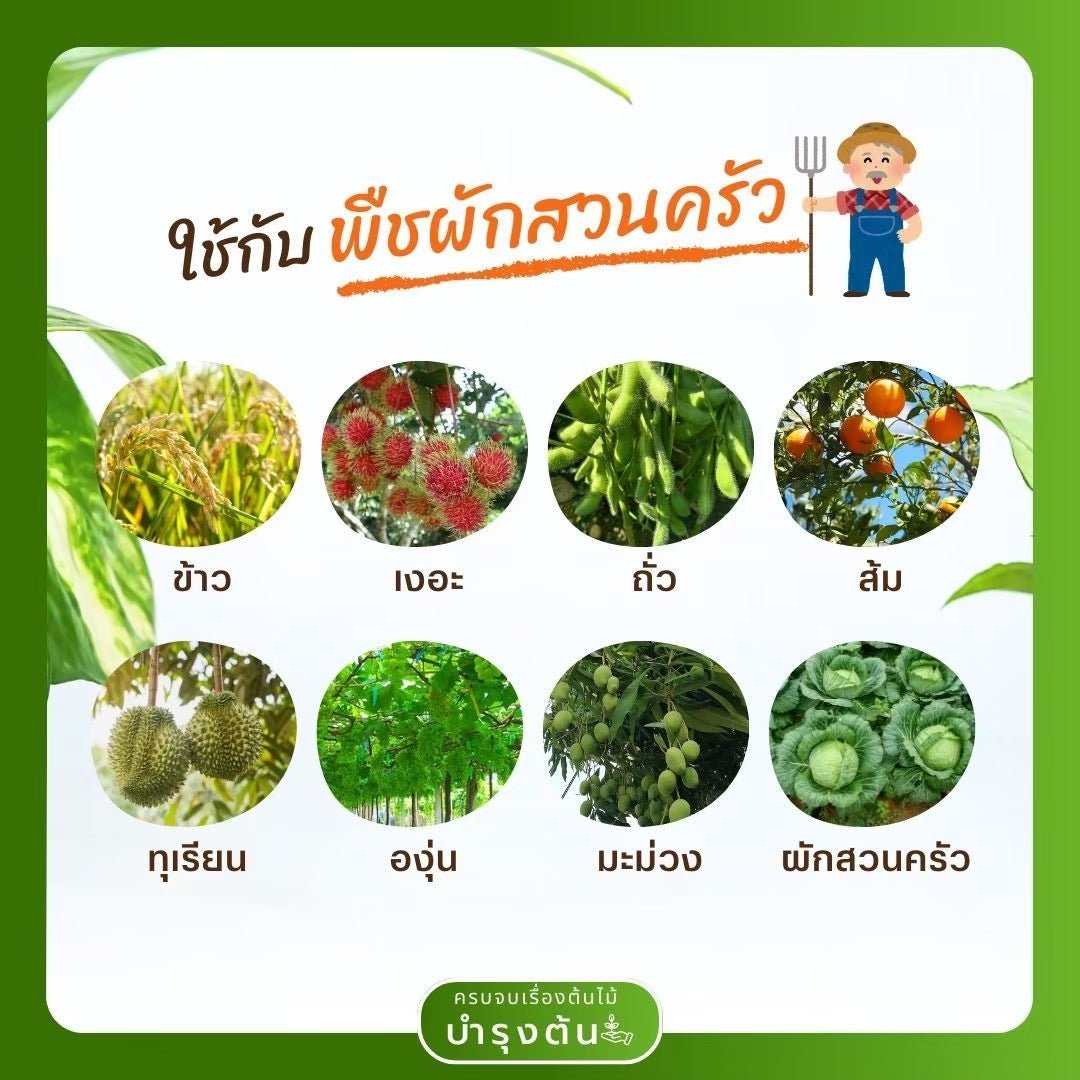คาร์เบนดาซิม – ตราช้างดาซิม – Carbendazim – สารป้องกันและกำจัดโรคพืช (เชื้อรา) - Pamathegardener