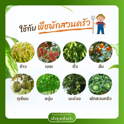 คาร์เบนดาซิม – ตราช้างดาซิม – Carbendazim – สารป้องกันและกำจัดโรคพืช (เชื้อรา) - Pamathegardener