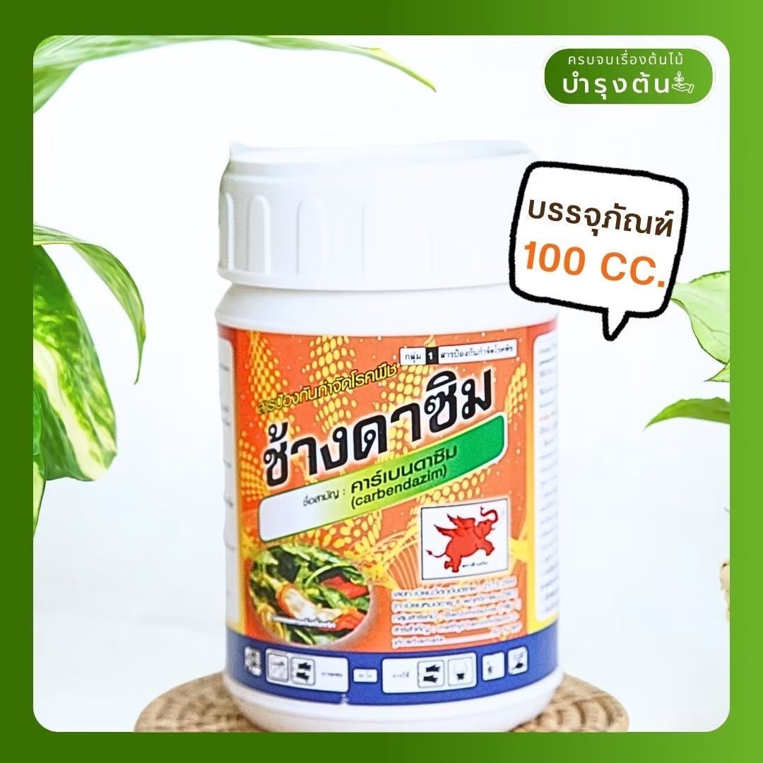 คาร์เบนดาซิม – ตราช้างดาซิม – Carbendazim – สารป้องกันและกำจัดโรคพืช (เชื้อรา) - Pamathegardener