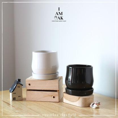 กระถางเซรามิกทรงไข่ตุ๋น เหมาะใส่กับต้นไม้จากกระถาง 3 นิ้ว