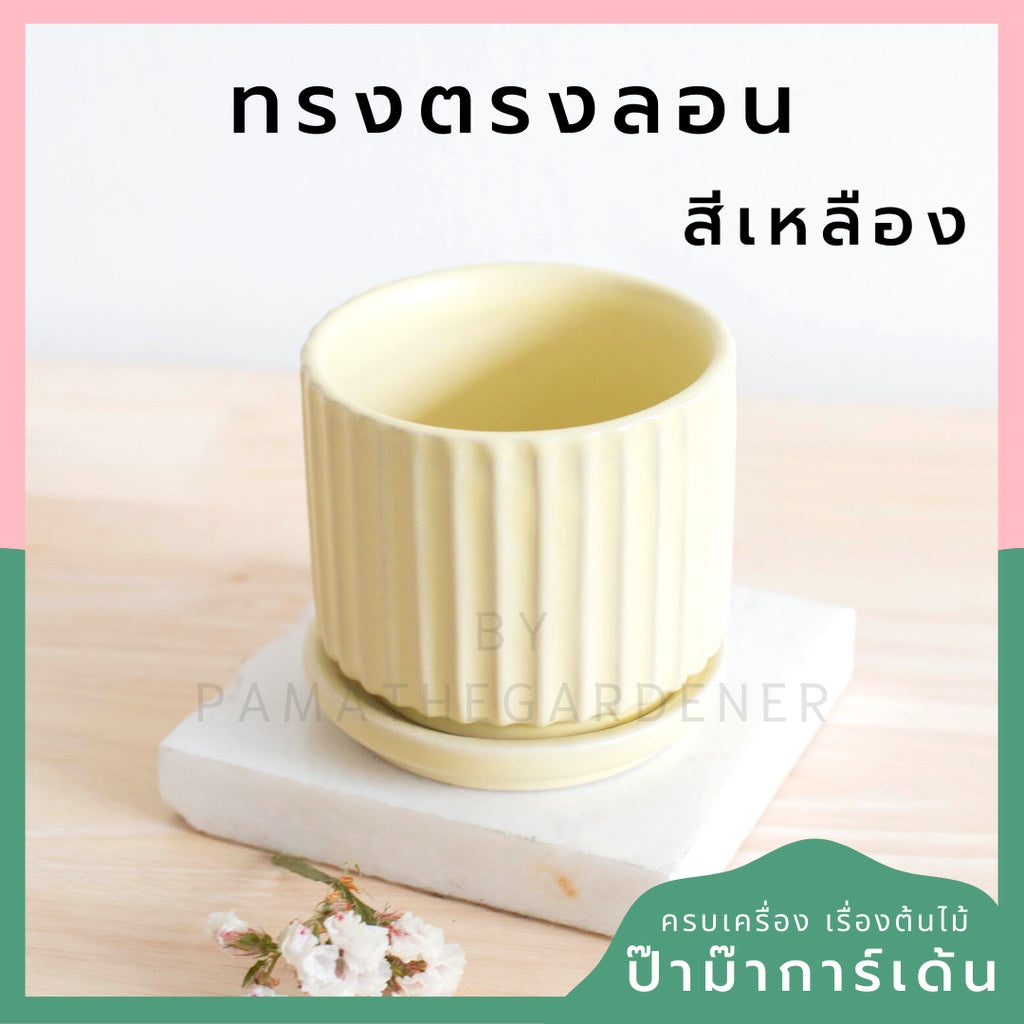 กระถางเซรามิก ทรงตรงลอน สีพาสเทลสดใส กระถางต้นไม้ กระถางบอนไซ (LP color 03)