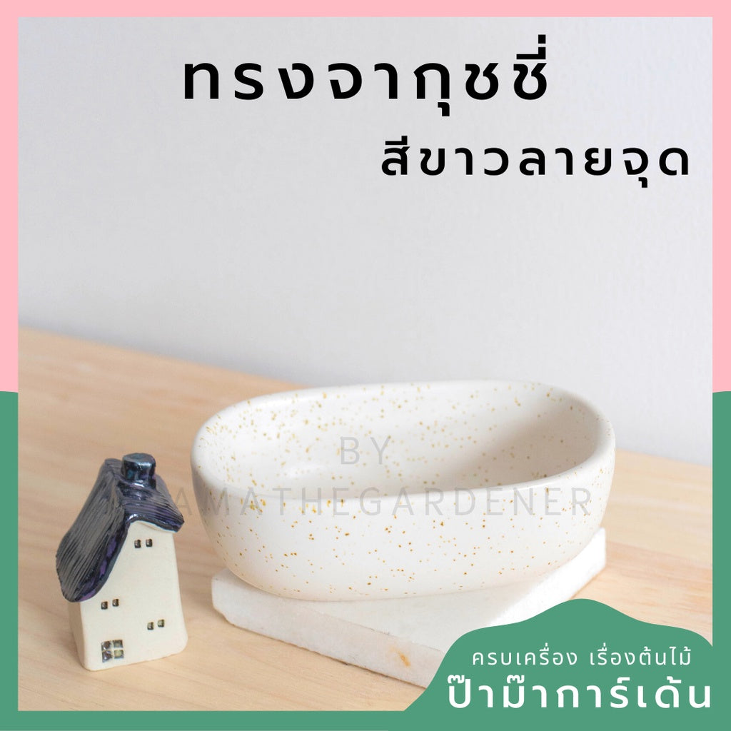 กระถางเซรามิก ทรงจากุ๊ซซี่ สีขาว ดำ สีพาสเทล สีลูกกวาด เหมาะสำหรับบัวบกโขด บอนไซ จัดสวนถาด [LP color 02]