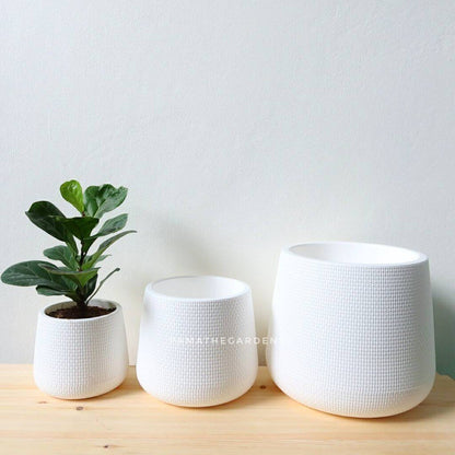 กระถางมินิมอล มีจานรองในตัว กระถาง kuppa กระถางเบลล่า กระถางโมเดิร์น