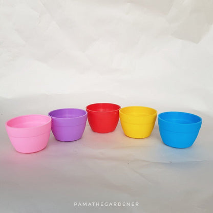 กระถางพลาสติก 2 นิ้วสีสันสดใส สำหรับใส่แคคตัส ทิลแลนเซีย