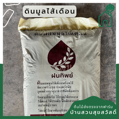 ดินมูลไส้เดือน ขนาด 5-6 กกใ