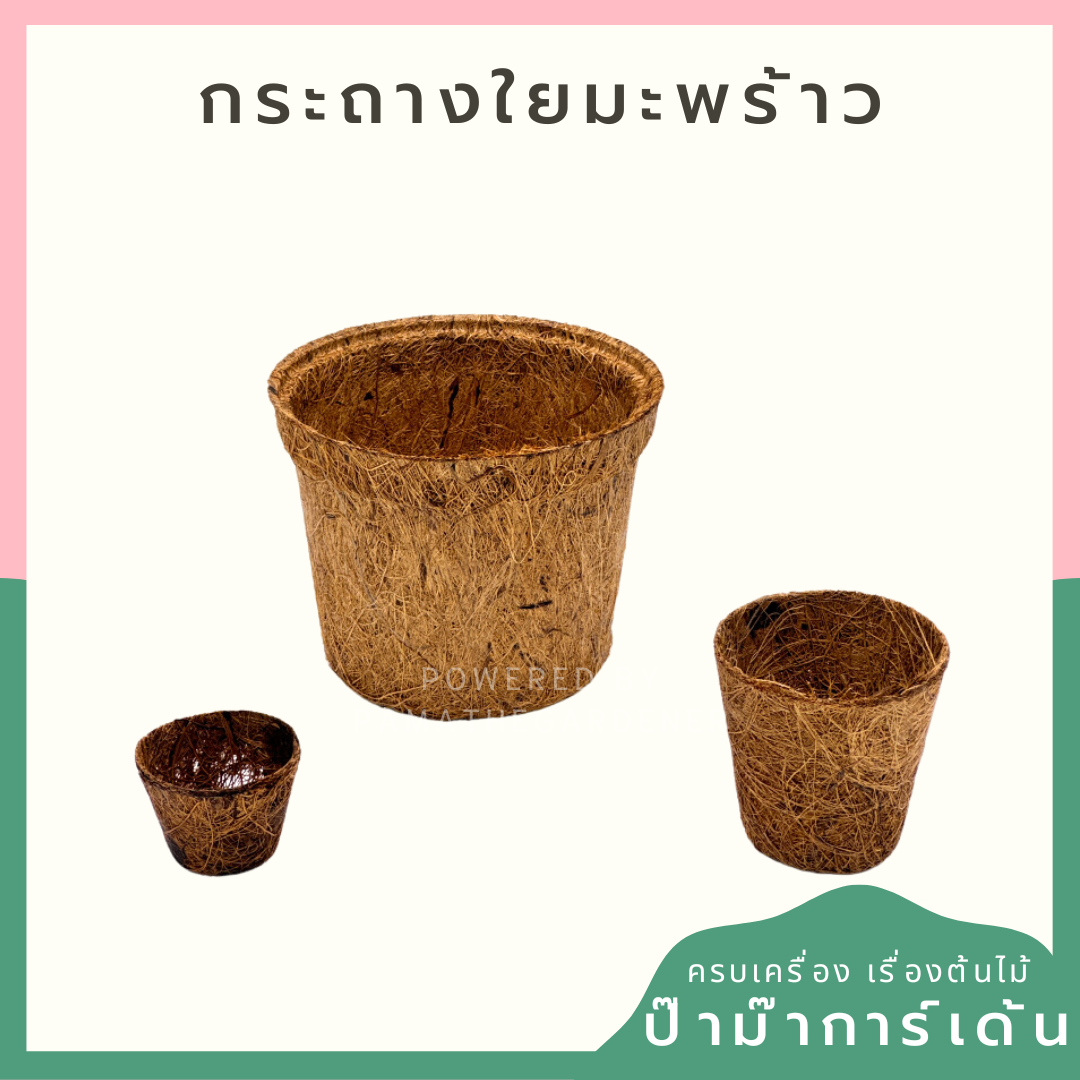 กระถางใยมะพร้าว กระถางต้นไม้ มีหลายขนาด