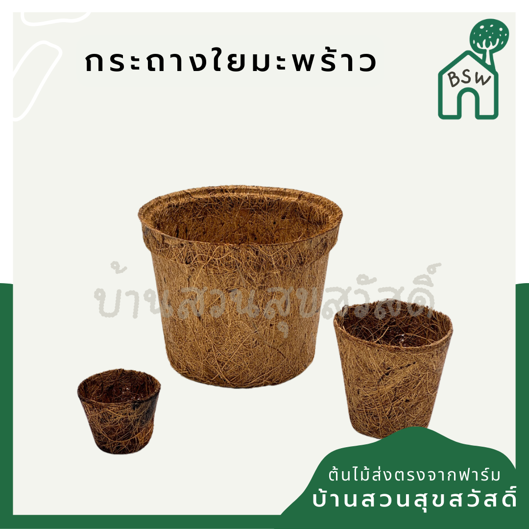 กระถางใยมะพร้าว กระถางต้นไม้ มีหลายขนาด