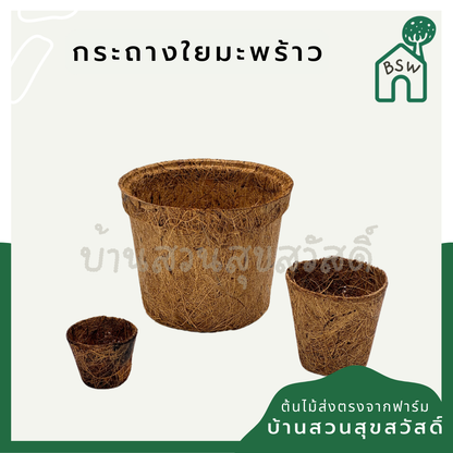 กระถางใยมะพร้าว กระถางต้นไม้ มีหลายขนาด