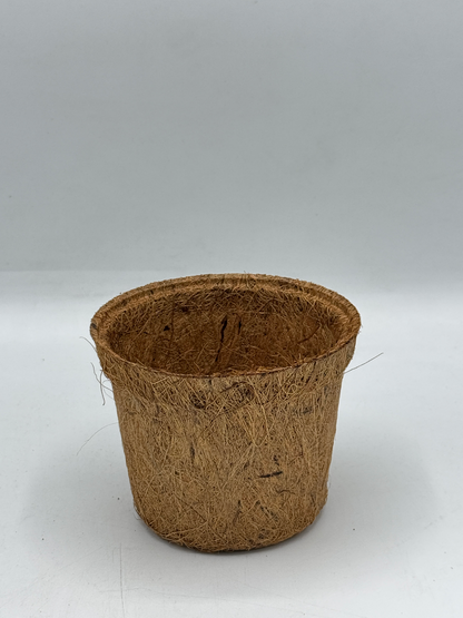 กระถางใยมะพร้าว กระถางต้นไม้ มีหลายขนาด