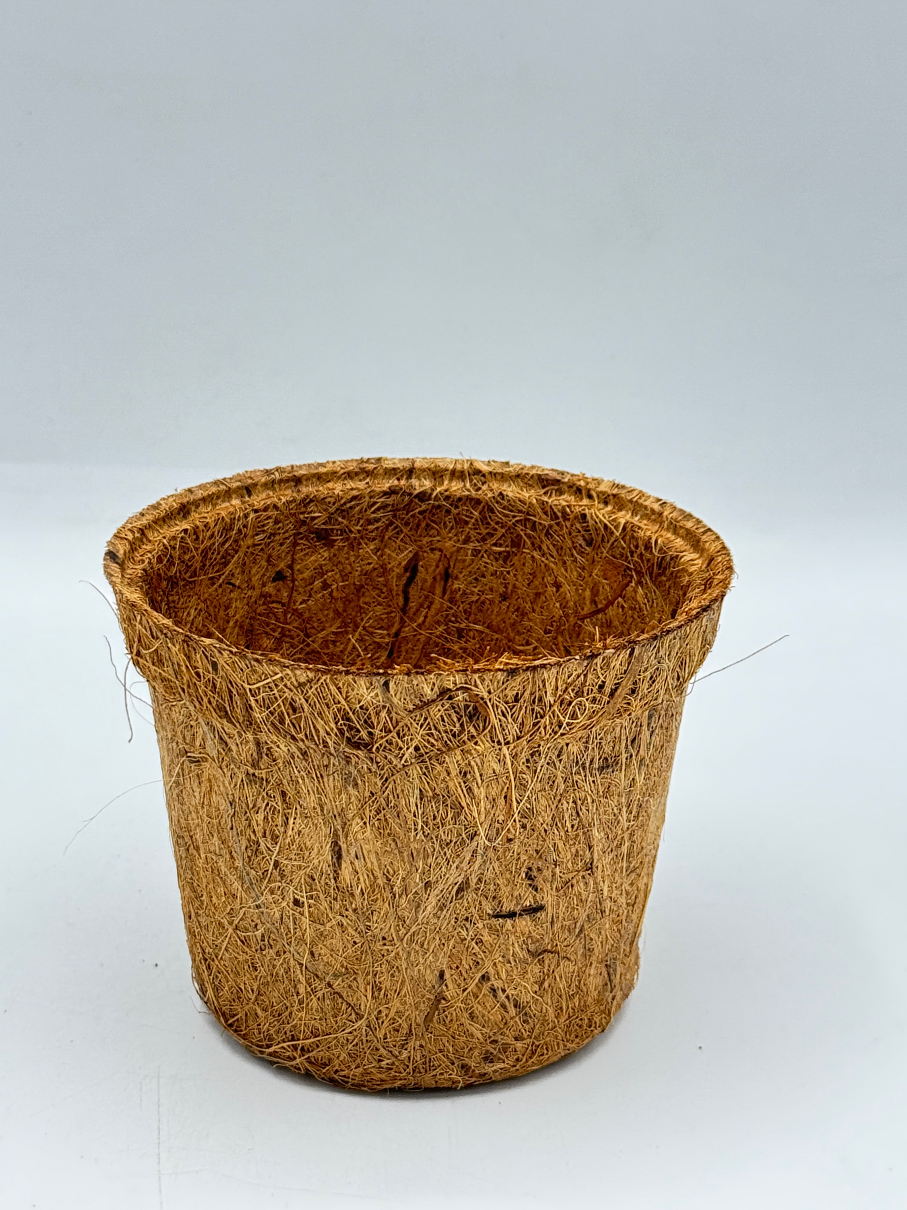 กระถางใยมะพร้าว กระถางต้นไม้ มีหลายขนาด