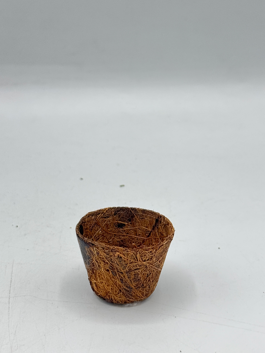 กระถางใยมะพร้าว กระถางต้นไม้ มีหลายขนาด