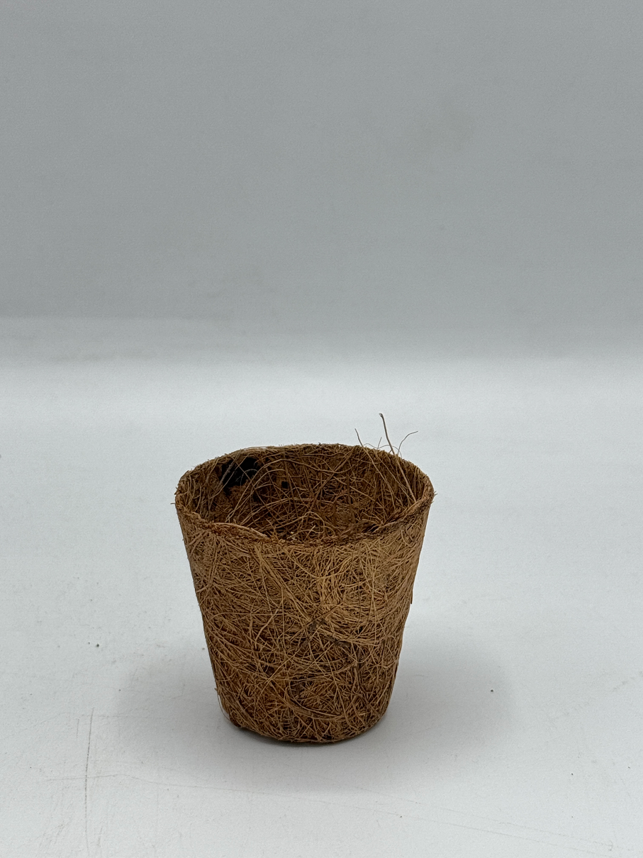 กระถางใยมะพร้าว กระถางต้นไม้ มีหลายขนาด